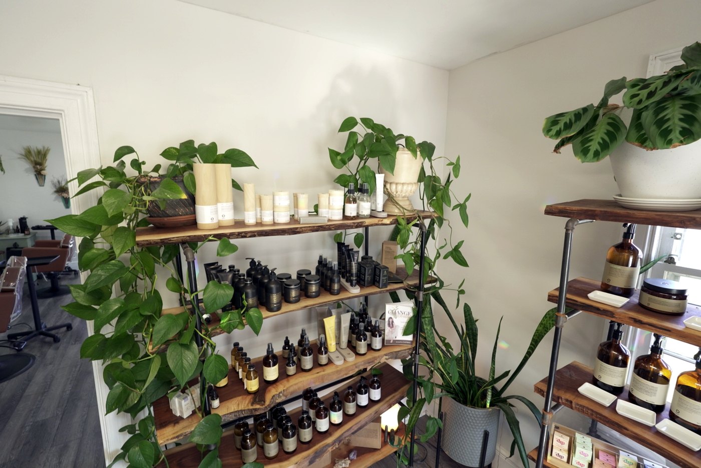 Shelf of clean, refillable beauty products and greenery at Enlightened Styles refillery in Warrenton, VA